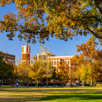 Untitled design (75)