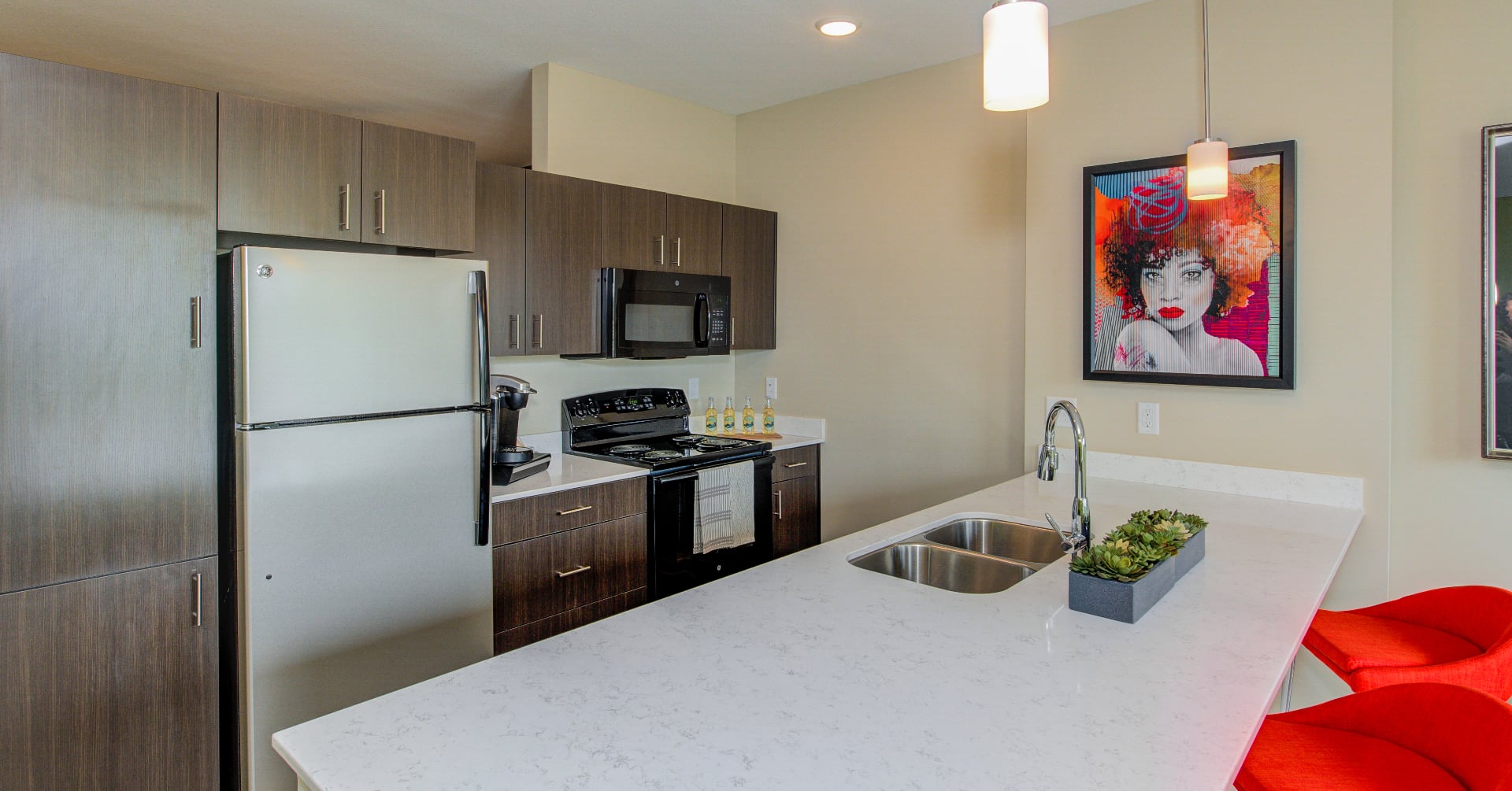 Park 66 Flats Kitchen