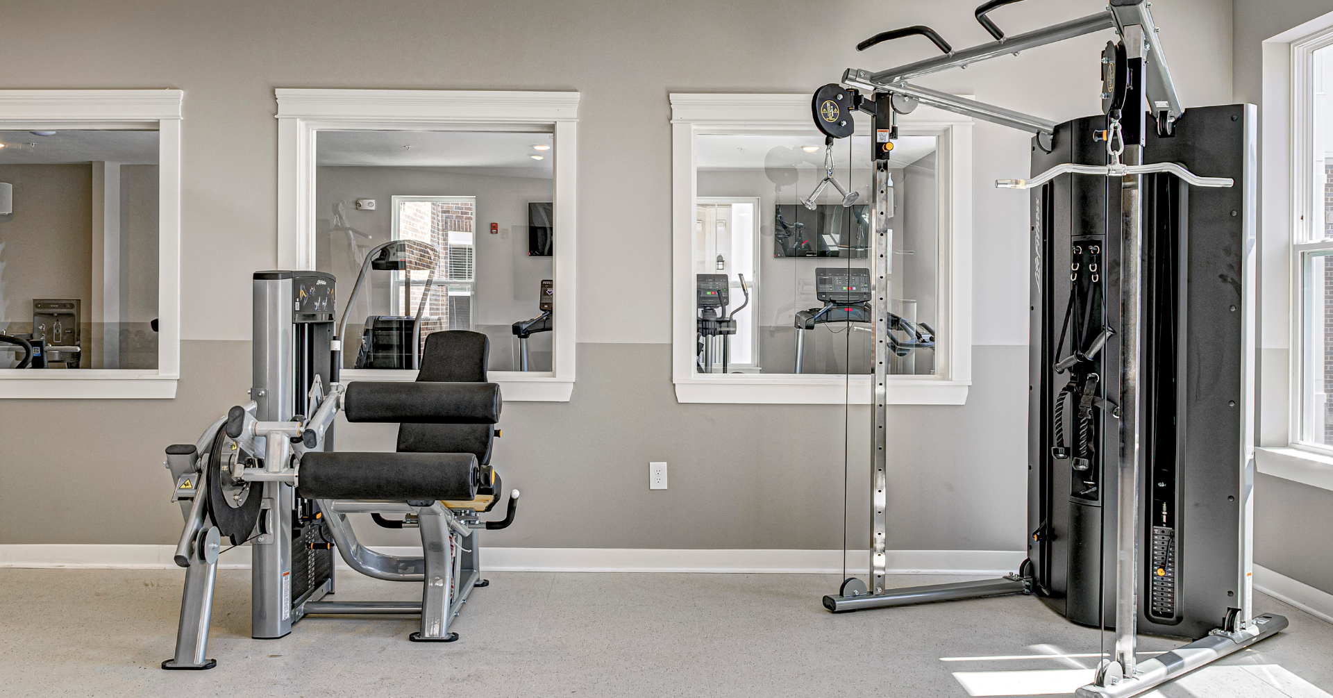 Untitled design (50)